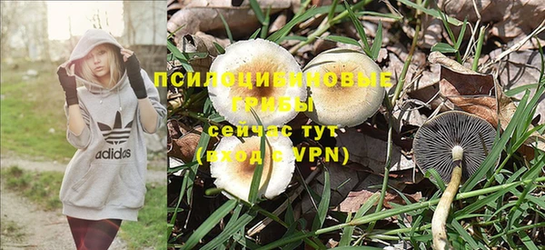 гидра Балахна