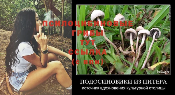 ешки Балабаново