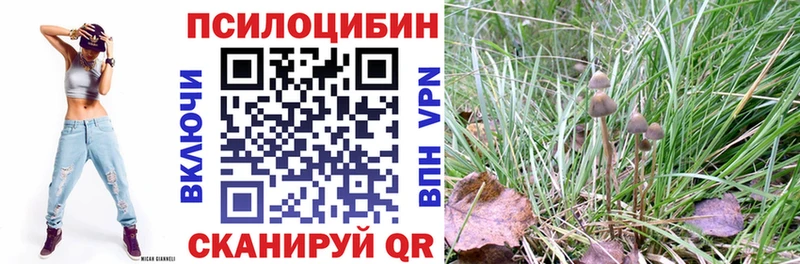 Псилоцибиновые грибы мицелий  МЕГА онион  Городовиковск 