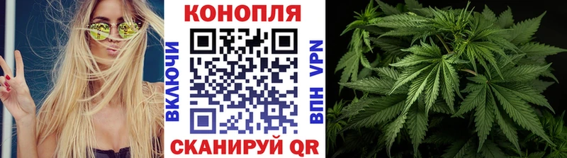 где купить наркоту Городовиковск Канабис планчик